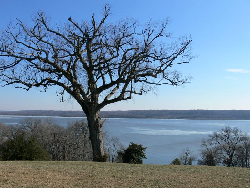 Not a bad view of the Potomac from the back porch of Mt. Vernon. Not a bad view of the Potomac from the back porch of Mt. Vernon.