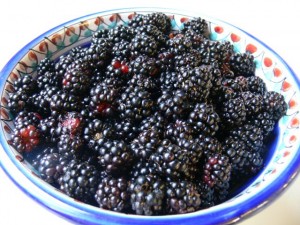 blackberry The fruits of my labor