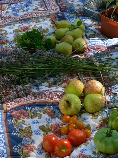 Pears, apples, tomatoes Pears, tomatoes