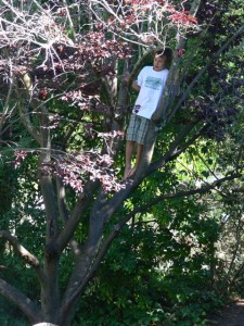 I'm not coming down and you can't make me