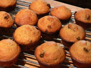 Does this really need a caption?