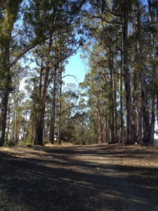 Thank you for setting aside this public land for all to enjoy