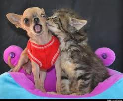Woah! Back off!