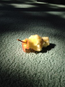 It was delicious.